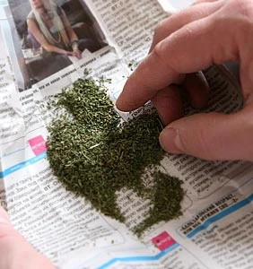 Крупная партия марихуаны изъята у витебчанина