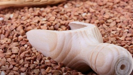 Минсельхозпрод обещает дешевую гречку