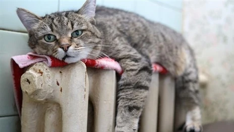 ЖКХ: жилец заплатит всегда