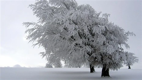 Синоптики: с приходом февраля морозы усилятся