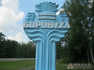 У Боровухи появятся свои герб и флаг