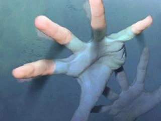 В Витебской области в июле утонуло примерно 40 человек