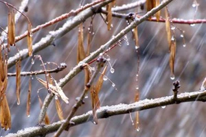 Синоптики обещают потепление к концу текущей недели