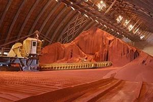 «Беларуськалий» готов предложить 10-15% своих акций к продаже