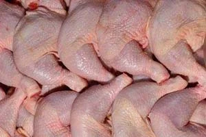Введено немедленное ограничение на поставки всех видов птицеводческой продукции из Австралии
