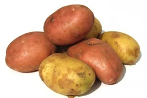 Беларусь может удвоить продовольственные  поставки в Москву