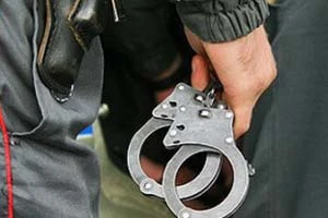 Таможенный союз рассматривает возможность создания евразийской полиции