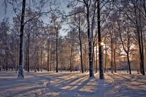 На выходных в Беларуси не будет зимней погоды