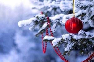 Новый год жители Беларуси будут встречать с необычно мягкой европейской зимой