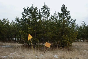 Исполнение бюджета белорусской госпрограммы по преодолению последствий катастрофы на ЧАЭС на 2011-2015 годы уже отстает более чем на 500 млн. долларов