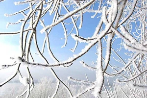 На Крещение придут 20-градусные морозы