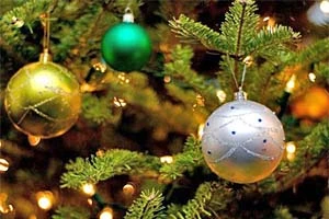 Новогодние ёлки покидают Минск