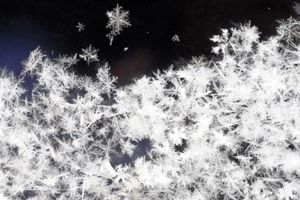 К выходным усилятся морозы