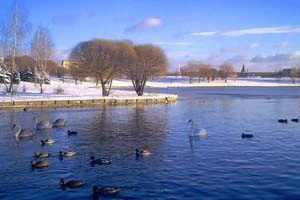 В Беларуси стали запрещать охоту на водоплавающих птиц