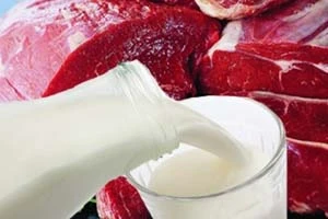 Мясные продукты из Германии не соответствуют белорусским стандартам