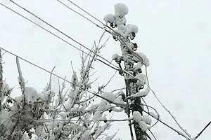 В Гомельской области справляются с последствиями снегопада