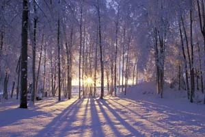 Выходные в Беларуси обойдутся без осадков