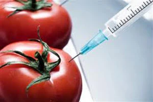 Продукты с ГМО практически не попадают в торговую сеть Беларуси, уверяют специалисты