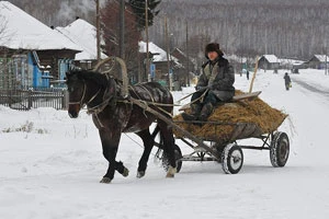 4,9 миллионов рублей – располагаемые ресурсы домашнего хозяйства Беларуси