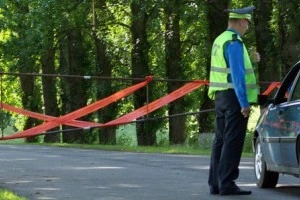 Свинина из Витебской области более не экспортируется