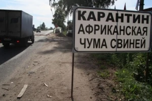 Литва ввела сбор за дезинфекцию грузовых автомобилей от АЧС