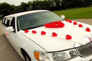 Минчане все чаще расписываются в сельских загсах