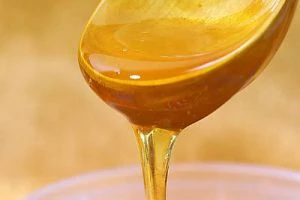 В Беларусь завозят мед с антибиотиками из России и Молдовы