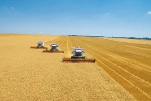 В Могилевской области чиновников привлекают за приписки в ходе уборки урожая