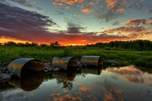 Экономическая выгода встала на пути у экологии